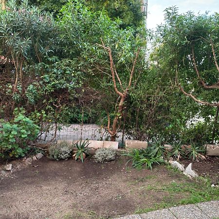 Appartamento Con Giardino A 50 M Dal Mare LʼÎle-Rousse 외부 사진